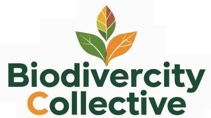 The BiodiverCity Collective